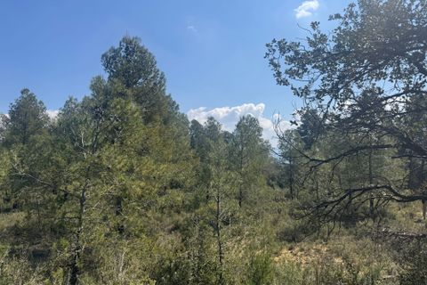 Terra a Cretas, Teruel, Cretas - € 23.000 | Ref: Ahmed - foto 2